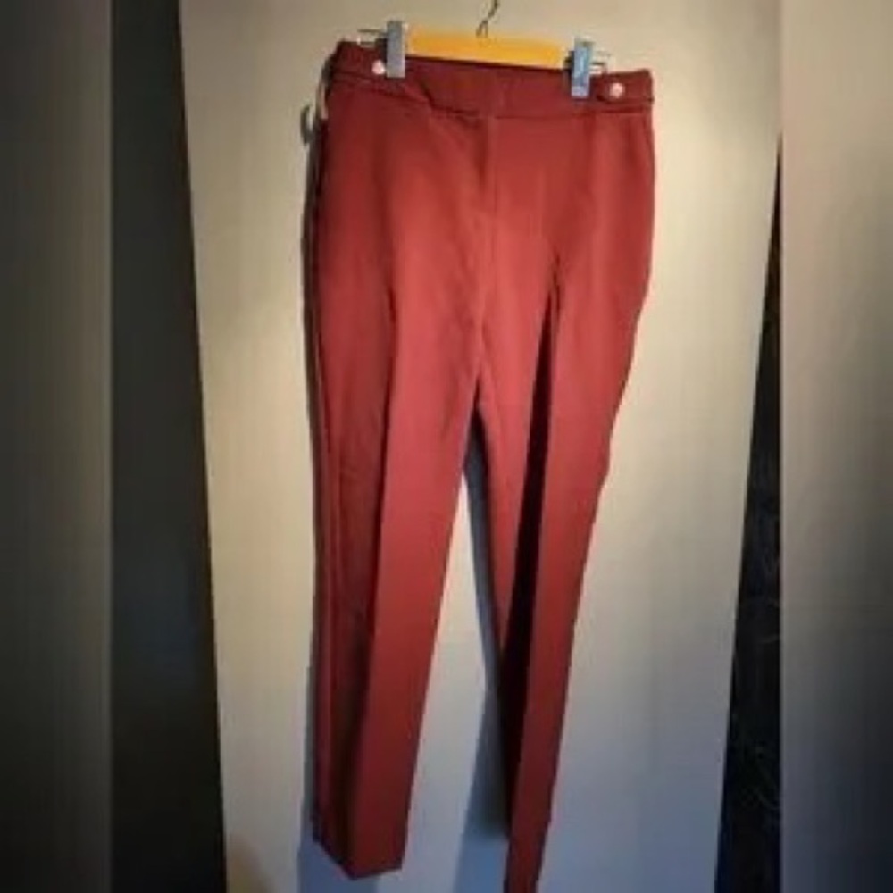 Men's Slim Stretch Pants in Rust Red